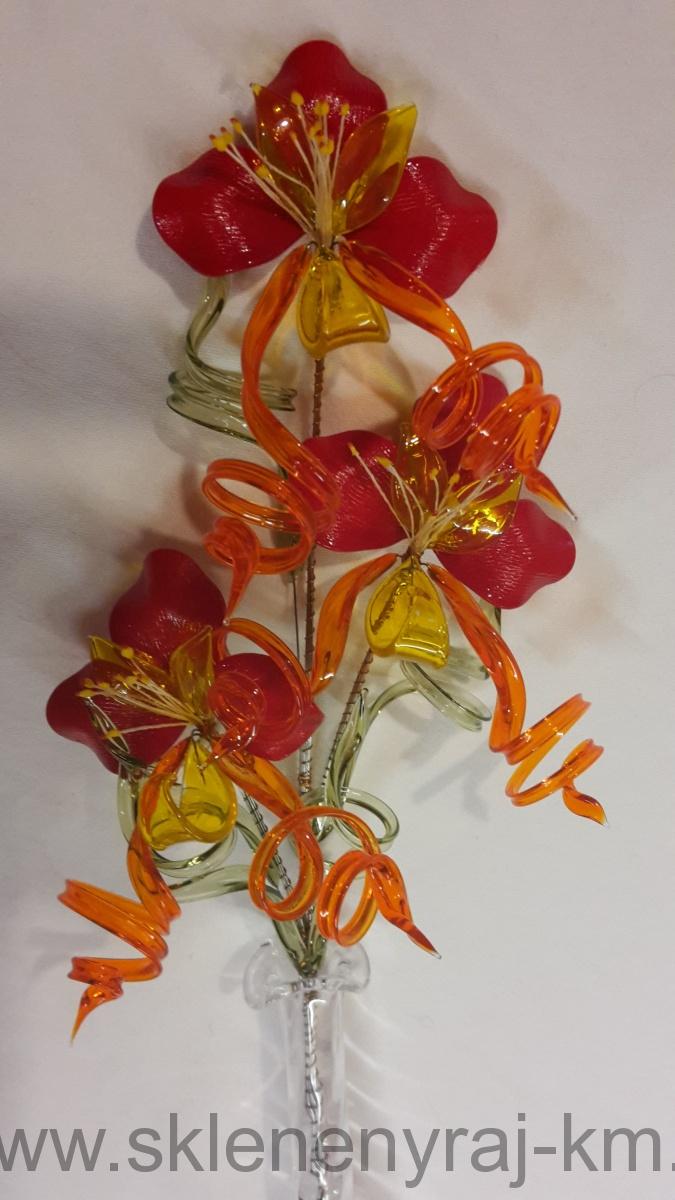 Orchidej