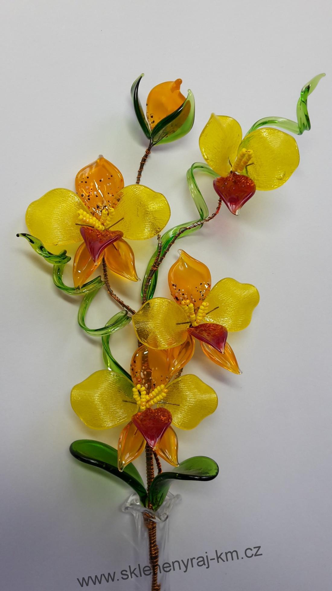 Orchidej
