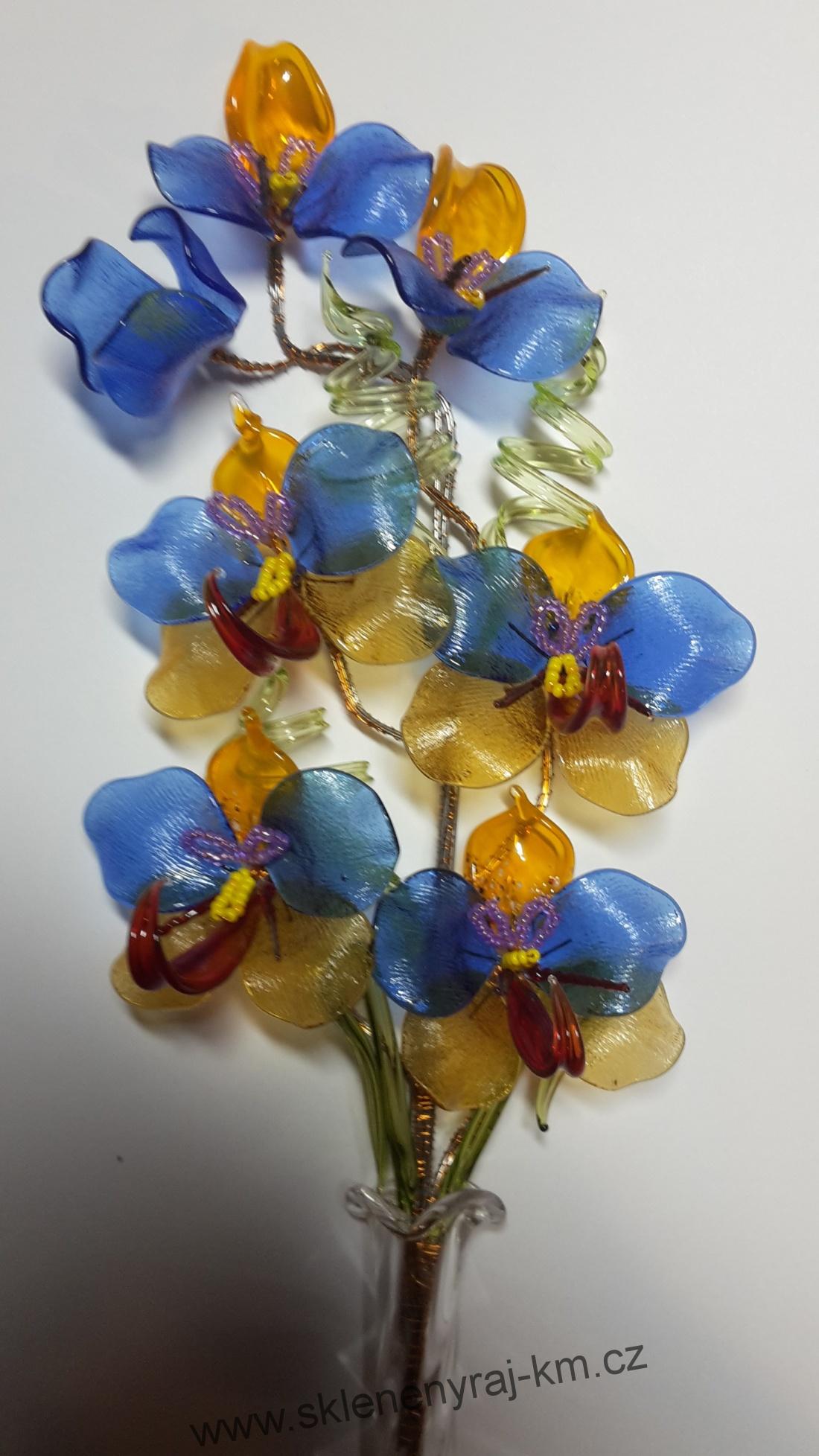 Orchidej