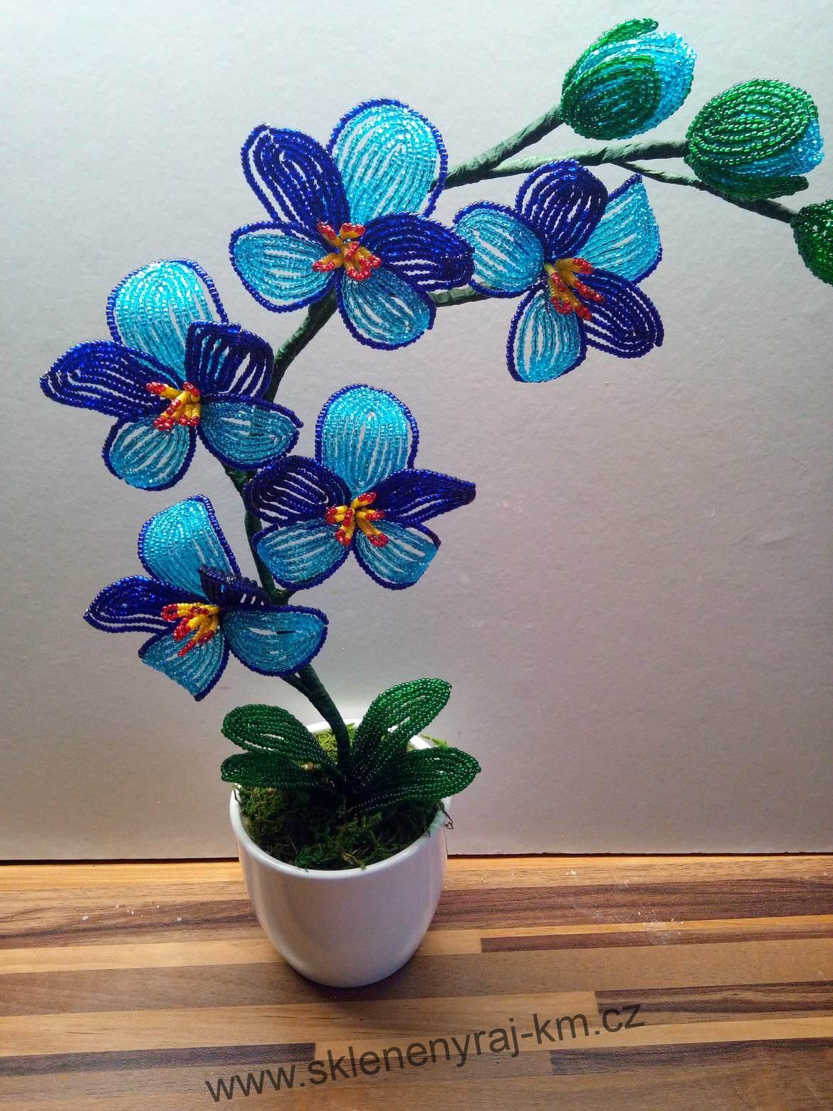 Orchidej