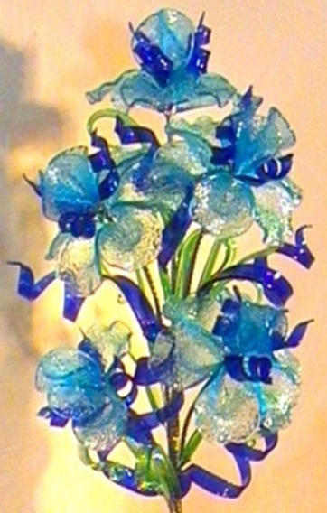 Květina velká