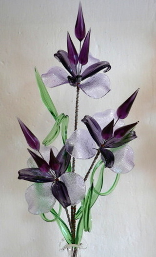 Květina velká